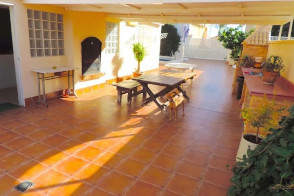 Luxury Villa 20Mts Far From The Sea Orihuela Exteriér fotografie